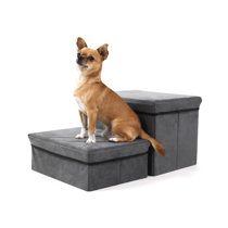 Wayfair dog outlet steps